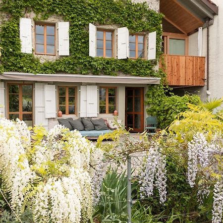 Wonderlandscape Guest House Le Grand Saconnex Exterior foto