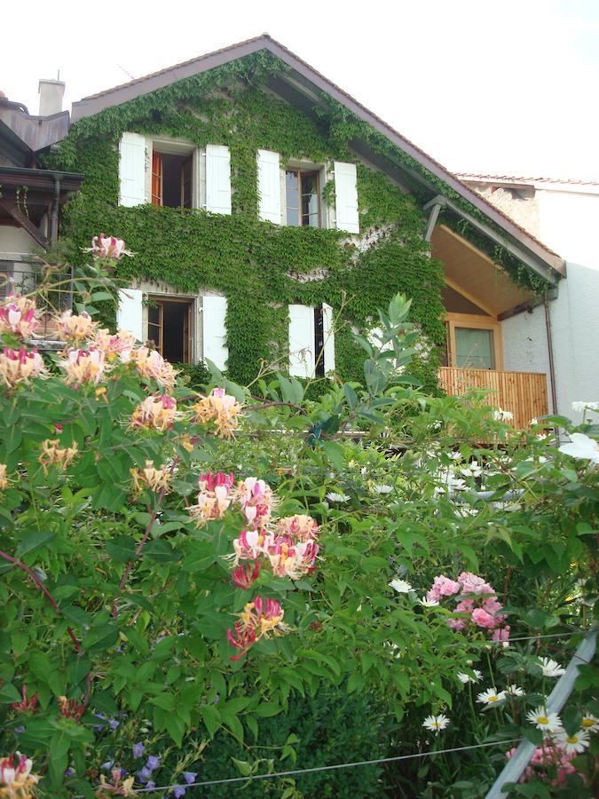 Wonderlandscape Guest House Le Grand Saconnex Exterior foto