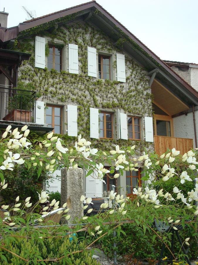Wonderlandscape Guest House Le Grand Saconnex Exterior foto